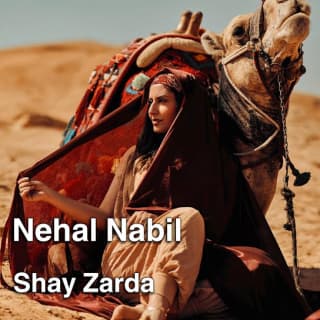 اغنية شاي زرده نهال نبيل بالكلمات كلمات اغنية شاي زرده نهال نبيل مكتوبة كاملة