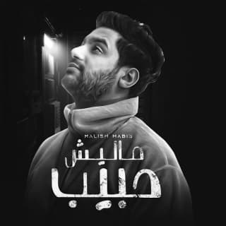 اغنية ماليش حبيب مؤمن تاج بالكلمات كلمات اغنية ماليش حبيب مؤمن تاج مكتوبة كاملة