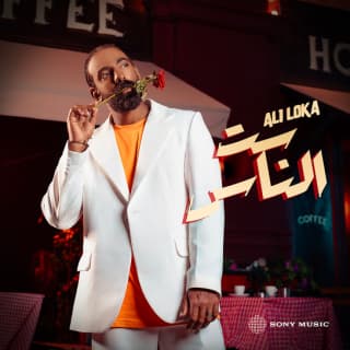 اغنية ست الناس علي لوكا بالكلمات كلمات اغنية ست الناس علي لوكا مكتوبة كاملة