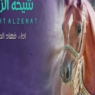 اغنية شيخة الزينات فهاد العلي بالكلمات كلمات اغنية شيخة الزينات فهاد العلي مكتوبة كاملة